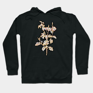 Gold Prism Mosaic Prickly Sweetbriar Rose Botanical Illustration Hoodie